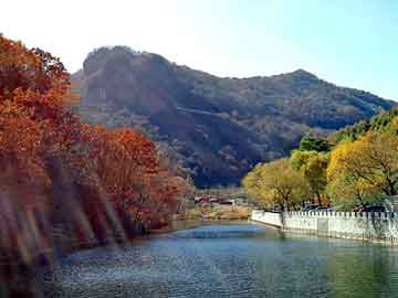 莎拉.杰西卡.帕克，电子除湿器